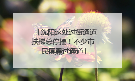 沈阳这处过街通道扶梯总停摆！不少市民摸黑过通道