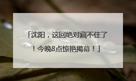 沈阳，这回绝对藏不住了！今晚8点惊艳揭幕！