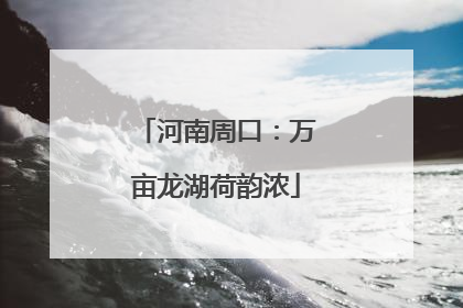 河南周口：万亩龙湖荷韵浓