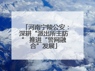 河南宁陵公安：深耕“派出所主防” 推进“警网融合”发展