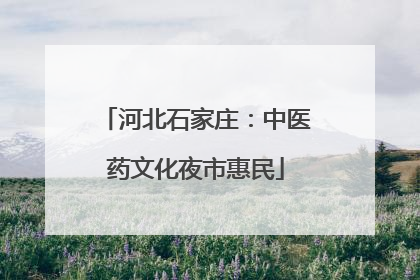 河北石家庄：中医药文化夜市惠民