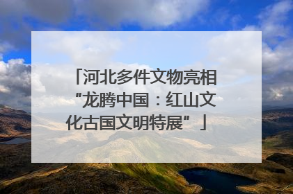 河北多件文物亮相“龙腾中国：红山文化古国文明特展”