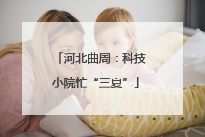 河北曲周：科技小院忙“三夏”