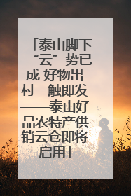 泰山脚下“云”势已成 好物出村一触即发——泰山好品农特产供销云仓即将启用