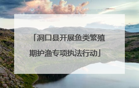 洞口县开展鱼类繁殖期护渔专项执法行动