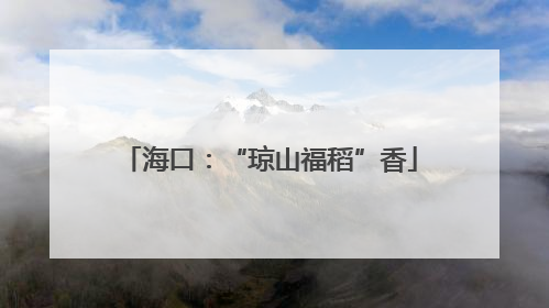 海口：“琼山福稻”香