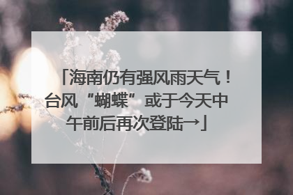 海南仍有强风雨天气！台风“蝴蝶”或于今天中午前后再次登陆→