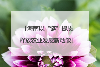 海南以“链”提质 释放农业发展新动能