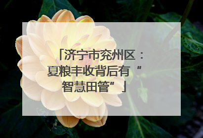济宁市兖州区：夏粮丰收背后有“智慧田管”