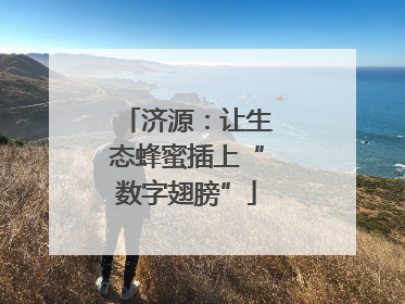 济源：让生态蜂蜜插上“数字翅膀”