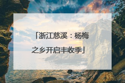 浙江慈溪：杨梅之乡开启丰收季