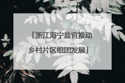浙江海宁盐官推动乡村片区组团发展