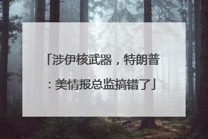 涉伊核武器，特朗普：美情报总监搞错了