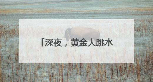 深夜，黄金大跳水！美股高开高走