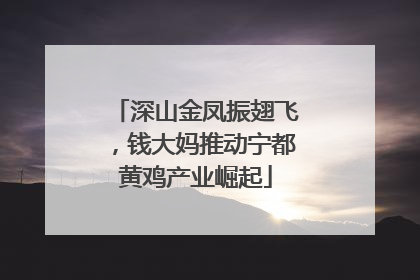 深山金凤振翅飞，钱大妈推动宁都黄鸡产业崛起