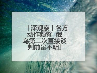 深观察丨各方动作频繁  俄乌第二次直接谈判前景不明