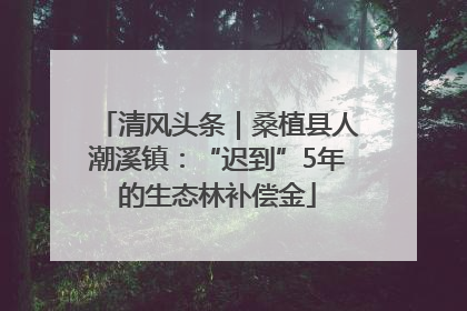 清风头条｜桑植县人潮溪镇：“迟到”5年的生态林补偿金