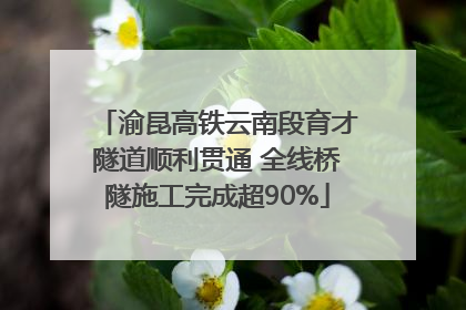 渝昆高铁云南段育才隧道顺利贯通 全线桥隧施工完成超90%