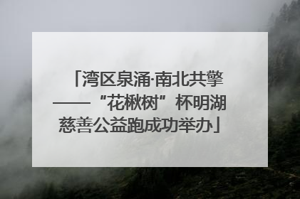 湾区泉涌·南北共擎——“花楸树”杯明湖慈善公益跑成功举办