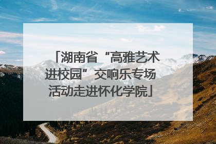 湖南省“高雅艺术进校园”交响乐专场活动走进怀化学院