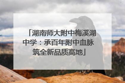 湖南师大附中梅溪湖中学：承百年附中血脉 筑全新品质高地