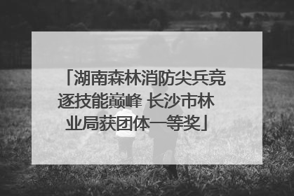 湖南森林消防尖兵竞逐技能巅峰 长沙市林业局获团体一等奖