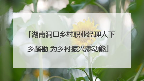 湖南洞口乡村职业经理人下乡踏勘 为乡村振兴添动能