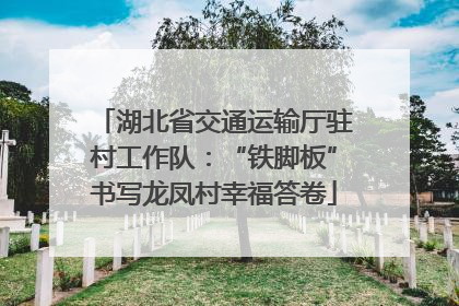 湖北省交通运输厅驻村工作队：“铁脚板”书写龙凤村幸福答卷