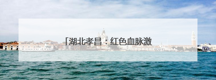 湖北孝昌：红色血脉激活乡村振兴“新动能”