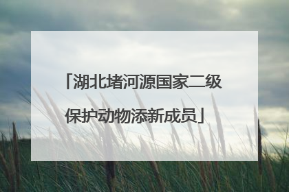 湖北堵河源国家二级保护动物添新成员
