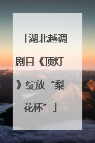 湖北越调剧目《顶灯》绽放“梨花杯”