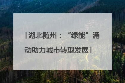 湖北随州：“绿能”涌动助力城市转型发展