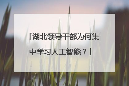 湖北领导干部为何集中学习人工智能？