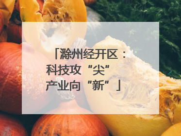 滁州经开区：科技攻“尖” 产业向“新”
