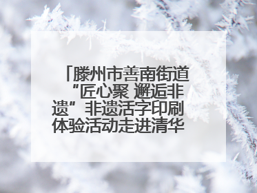 滕州市善南街道“匠心聚 邂逅非遗”非遗活字印刷体验活动走进清华园小学