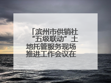 滨州市供销社“五级联动”土地托管服务现场推进工作会议在无棣县举办