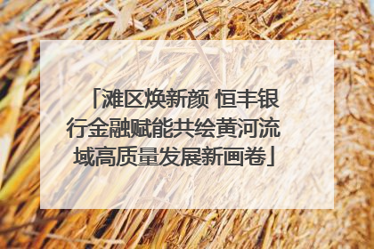 滩区焕新颜 恒丰银行金融赋能共绘黄河流域高质量发展新画卷