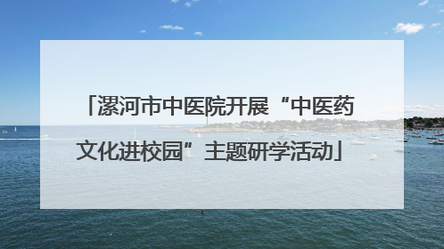 漯河市中医院开展“中医药文化进校园”主题研学活动