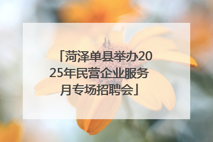 菏泽单县举办2025年民营企业服务月专场招聘会