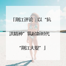 荆江评论：以“抗洪精神”筑起新时代“荆江大堤”