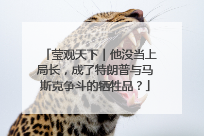 莹观天下｜他没当上局长，成了特朗普与马斯克争斗的牺牲品？