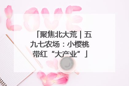 聚焦北大荒｜五九七农场：小樱桃带红“大产业”