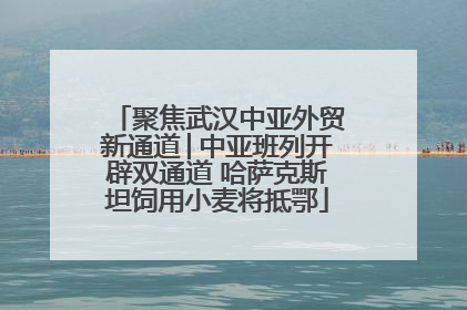 聚焦武汉中亚外贸新通道│中亚班列开辟双通道 哈萨克斯坦饲用小麦将抵鄂