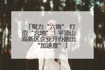 聚力“六做” 打造“六地”！平顶山高新区企业开办跑出“加速度”