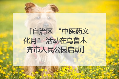 自治区 “中医药文化月” 活动在乌鲁木齐市人民公园启动