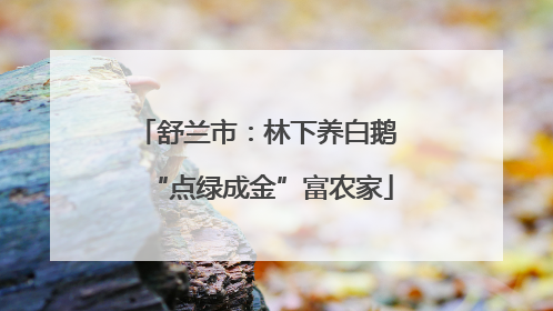 舒兰市：林下养白鹅 “点绿成金”富农家