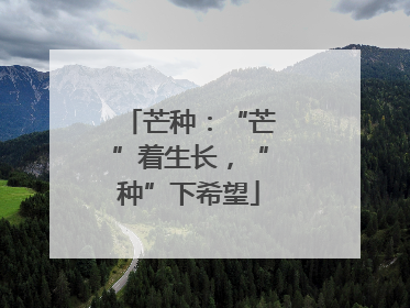 芒种：“芒”着生长，“种”下希望