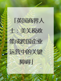 英国商界人士：美关税政策成跨国企业运营中的关键障碍