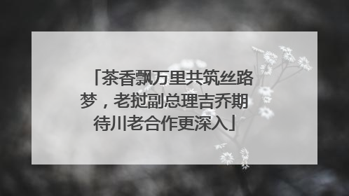 茶香飘万里共筑丝路梦，老挝副总理吉乔期待川老合作更深入