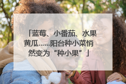 蓝莓、小番茄、水果黄瓜……阳台种小菜悄然变为“种小果”